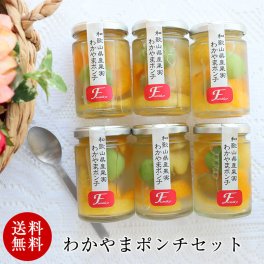 お中元 御中元 夏ギフト プレゼント わかやまポンチ6個入セット 日本ギフト大賞 受賞 お返し 詰め合わせ ギフト スイーツ ゼリー 果物 オシャレ 誕生日プレゼント 出産祝い