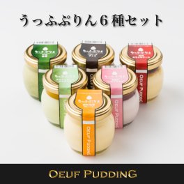 【うっふぷりん 6種セット　6個入】［ カラメル／プレーン／抹茶／チョコ／いちごミルク／ピスタチオ］