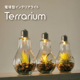 ☆En Fance 電球型インテリアライト Terrarium☆テラリウム 照明 ライト 生活雑貨 テラリウム 植物 電球