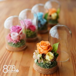 ガラスドーム【ピッコロ】プリザーブドフラワー 誕生日祝い 退職祝い 結婚祝い おしゃれ プレゼント ブリザードフラワ- ギフト 結婚祝い 結婚記念日 結婚式 電報 還暦祝い お祝い 贈り物 御礼 女性 花 バラ かわいい ガラスドーム 卒業祝い 送別　母の日