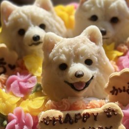 さつまものムースシャルロット3 わんちゃん用（犬）ケーキ 誕生日 お祝い