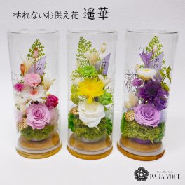 お供え ドームプリザ 遥華 はるか【お供え花 お供え お悔やみ お彼岸 花  プリザーブドフラワー 仏花 花 御供え花 枯れないお花 アレンジメント ガラスドーム アレンジフラワー ペット お供えプリザ お盆 初盆 新盆 送料無料】