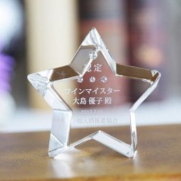 クリスタル ペーパーウェイト DW-21 スターカット 名入れ無料 