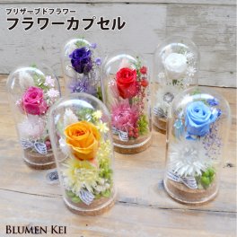 送料無料 プリザーブドフラワー 花 フラワーカプセル／メッセージカード 結婚記念日 プレゼント ギフト 結婚祝い ウェディング 新郎 新婦 誕生日 プロポーズ お祝い 女性 妻 かわいい おしゃれ フラワー 開店祝い 入学祝い 卒業祝い バラ 御祝い 子供 引っ越し母の日 敬老の日 クリスマス ハロウィン ホワイトデー バレンタインデー 新年 正月 いい夫婦の日