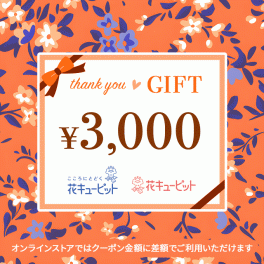 全国共通 花とみどりのeチケット 3,000円