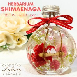 【母の日・還暦祝い】 シマエナガ ハーバリウム カーネーション 150ml プリザーブドフラワー 雪の妖精 小鳥 花 誕生日 敬老の日 女性 母親 祖母 鳥好き ギフト プレゼント ルルズ