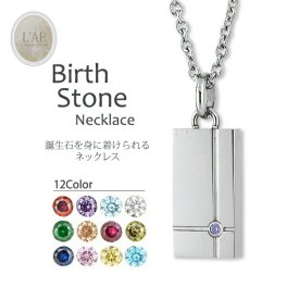 【誕生石12色の中からカラー選択可能！】ネックレス ステンレス 誕生石 ペンダント アクセサリー 名入れ ギフト プレート バースデー バースストーン 誕生日 記念日 メンズ レディース プレゼント