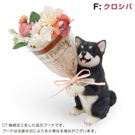 【プレゼント ギフト】 CT ミニョンブーケ いぬ黒柴（クロシバ） 【有料ラッピングサービス選べます】