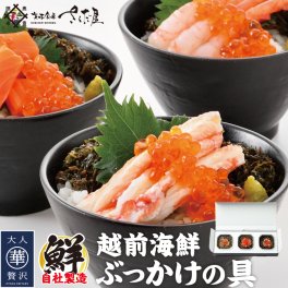 海鮮丼 越前海鮮ぶっかけの具セット ３種 甘えび ふくいサーモン ベニズワイガニ【冷凍便】 刺身 漬け 小分け 海鮮丼の具 魚介類 水産加工品 送料無料 美味しい贈物 敬老の日 お歳暮 ギフト