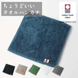 ちょうどいいタオルハンカチ メンズ レディース ハンドタオル 今治タオル 顔拭きタオル 手拭きタオル 洗顔タオル 紳士 Tps-152 今治タオルブランド