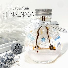 【冬ギフト・ホワイトデー】雪の妖精 シマエナガ ハーバリウム 雪景色 | プリザーブドフラワー インテリア | 誕生日 プレゼント 女性 鳥好き | Lulu's ルルズ
