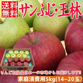 【家庭消費用】サンふじ・王林 約5kg前後 14個～20個入 送料無料 りんご 5kg 訳あり 訳アリ 青森 産地直送 サンフジ 家庭用