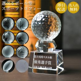 名入れ 選べるボール型スポーツ トロフィー ゴルフコンペ 部活 サークル 大会 アワード 記念品 お祝い スポーツ 表彰 誕生日 オリジナルギフト プレゼント 名前入り メッセージ入り ラッピング 父親 40代 50代 60代 男性 父の日 父親 実用的 ギフト