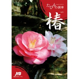たびもの撰華 椿　カタログギフト