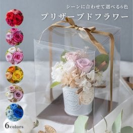 カラーポット入り プリザーブドフラワー アシエ 退職祝い 誕生日 還暦祝い 開店祝い 古希 喜寿 傘寿 米寿 上司 両親 妻 お見舞い 母 祖母 枯れない 花 アレンジメント プレゼント ギフト 女性 レディース40代 50代 60代 70代 即日発送 ギフト
