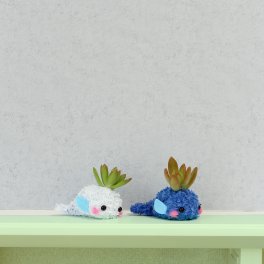 【クジラ】モスビー 多肉植物 インテリア プレゼント 癒し ギフト 母の日 父の日 クリスマス 敬老の日 かわいい バレンタイン 植物 プレゼント クジラ 観葉植物