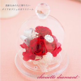 プリザーブドフラワー ガラスドーム ミニ ギフト 還暦祝い 花 赤 バラ 【シュエットディアマン】 友だち 誕生日プレゼント 母親 女友達 彼女 妻 嫁 祖母 職場 女性 20代 30歳 50代 70歳 結婚記念日 退職祝い 周年祝い 記念日 古希 卒寿 お祝い かわいい インテリア ブリザードフラワ- ブリザードフラワー プリザードフラワー メッセージカード 即日発送 送料無料