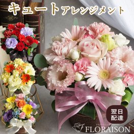 【冷蔵便】 敬老の日 ４色から選ぶ キュートアレンジメント 敬老の日ギフト 誕生日プレゼント 結婚記念日 ひな祭り バレンタイン フラワー アレンジメント 花 ギフト フラワーギフト 開店祝い 退職祝い 還暦