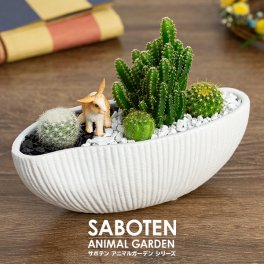 アニマルガーデン  サボテン 寄せ植え セレウス 電磁波サボテン 波形タイプ