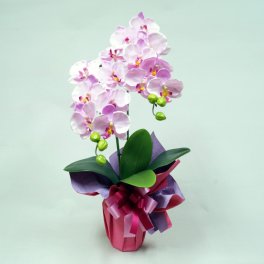 光触媒 胡蝶蘭 造花 シルクフラワー 2本立ち お祝い 開店祝い 新築祝い コチョウラン ギフト プレゼント