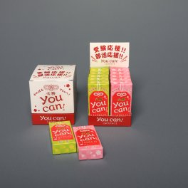 【大人気！】必勝YOU CAN !! ようかん(50g)10本入【一口羊羹】メッセージ入り 小豆 抹茶 和菓子 羊羹 絶品スイーツ 贈り物 九州銘菓 