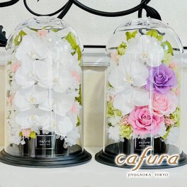 プリザーブドフラワー 胡蝶蘭 フラワードーム 大きい 名入れ 記念品 お祝い 誕生日 退職祝い 開業祝い 新築祝い 贈答品 お盆 新盆 お供え お悔やみ お彼岸 還暦 喜寿 古希 傘寿 米寿 卒寿 白寿 ブリザードフラワー ラージ