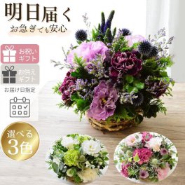 【送料無料】 即日発送 生花 アレンジメント 古希 喜寿 誕生日 花 ギフト 送料無料 お礼 フラワーアレンジメント 紫 生花 お祝いアレンジメント 日頃の感謝 御祝 記念日 開店御祝い 自宅用 お供え フラワーギフト 展示会 楽屋花 受付 おしゃれ 土日発送 RaisinBlue 母の日 敬老の日 お中元 お歳暮