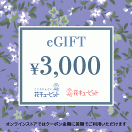 【お供え】全国共通 花とみどりのeチケット 3,000円