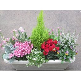 季節のお花たちの寄せ長方形　【一部地域のみ送料無料】【北海道、四国、中国、九州は別途324円】