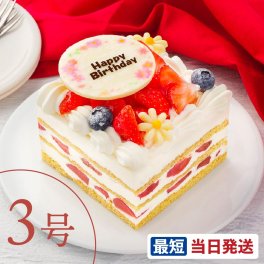 イチゴいっぱいショート 3号 9cmx9cm