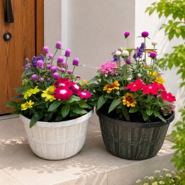 季節の寄せ植え アンティーク柄 軽量プラスチック鉢 内径24cm  2鉢セット （鉢の色選択不可 ）１鉢に６～7種類のお花で構成 ラッピング不可 ギフトメッセージOK
