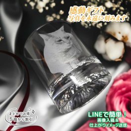ロック グラス 写真 彫刻 ペット写真 名入れ ペット グッズ オリジナル オーダーメイド 犬 猫 名入り 写真入り ロックグラス 底面カット