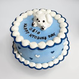 センイルケーキ 4号【５番】バースデーケーキ 誕生日ケーキ 韓国発 推しケーキ 推し活 韓国スイーツ 結婚記念日 記念日 ケーキ ギフト かわいい 人気 バースデー プレゼント お取り寄せ スイーツ インスタ映え 女性
