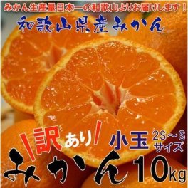 【予約】 和歌山県産 訳ありみかん 小玉（3S~Sサイズ） 10kg 【送料無料】 10月中旬以降より発送開始