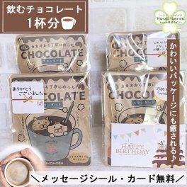 在庫限り プチギフト 退職 バレンタイン プレゼント 飲む チョコレート ギフト 500円 以下 1杯分 異動 産休 挨拶 個包装 おしゃれ かわいい お世話になりました シール お返し お配り用 ばらまき 贈り物 誕生日 男性 女性 内祝い 職場 お礼