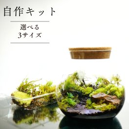 【制作キット】 石畳 LEDライト付ボトルテラリウム　作成キット 苔セット 苔 ハンドメイド 自作キット キット 手作り ギフト プレゼントにも
