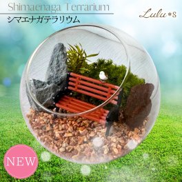 【 水やり不要 】 シマエナガ テラリウム プリザーブドモス 苔 観葉植物 ガラスドーム ミニチュア ジオラマ 癒し グッズ 誕生日 退職祝い お見舞い プレゼント 女性 友達 ルルズ Lulu＊s