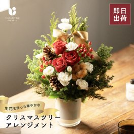 クリスマスツリーアレンジメント 生花 お花 フラワーアレンジ アレンジメント バラ ヒバ 松ぼっくり 可愛い おしゃれ クリスマス クリスマスプレゼント Xmas ギフト 贈り物 プレゼント