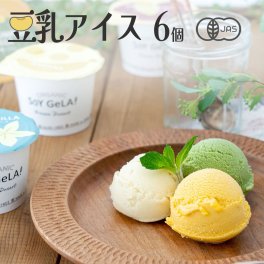 敬老の日  プレゼント ギフト 無添加 オーガニック 豆乳 アイス アイスクリーム カロリー ヘルシー出産祝 誕生日 お取り寄せ スイーツ 無料ラッピング 熨斗対応 【送料無料 / 6個 詰め合わせ】