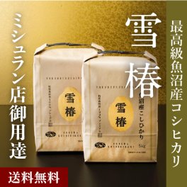 令和7年産 魚沼産コシヒカリ 10kg (5kg×2袋) 最高級 最高金賞 金賞受賞 「雪椿」 ブランド米 ミシュラン店御用達 贈答用 新潟県産 最高級米 特別栽培米 お米 ギフト 内祝い 御歳暮 結婚内祝い 御誕生日御祝 新築祝い 法事 のし 熨斗対応 希少米