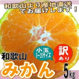 【予約】 和歌山県産 訳ありみかん 小玉（3S~Sサイズ） 5kg 【送料無料】 10月下旬以降より発送開始