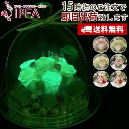 「光る ガラスドーム」 プリザーブドフラワー 誕生日 退職祝い ギフト プリザーブド フラワー ギフト お返し サプライズ プレゼント プロポーズ 告白 バラ ローズ 薔薇 彼女 女性 妻 フィアンセ 発光 電報 フラワーギフト 花 お祝い 御礼 結婚祝い おしゃれ 光る ガラスドーム お彼岸 敬老の日