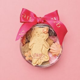 おさんぽ猫の発酵ビスケットボックス 焼き菓子セット