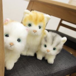 日本製 リアル 猫のぬいぐるみ 子猫 20cm[リアル ぬいぐるみ ネコ 猫 ねこ 癒し かわいい いやし猫] 即納
