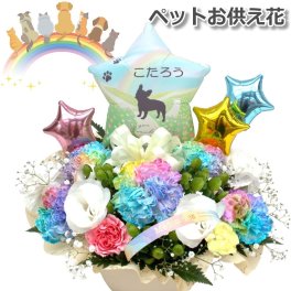 生花 シルエット ペット お悔やみ花 贈り物 レインボー カーネーション バルーン ギフト お供え 愛犬 命日 仏花 四十九日 初盆 お盆 法事 供養 法要