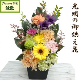 [プリザーブドフラワー お供え 花束]【プリザーブドフラワー 仏花】お手入れ不要のお供え花【詠歌】[光明のプリザーブドフラワー仏花]咲き続ける御供え花 送料無料。蘭・デンファレ ことね菊 珍しいプリザ 明るいお仏壇花アレンジメント【遺影の傍に】