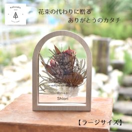 まるでウェディングブーケ 子育て感謝状 両親贈呈品 結婚式ギフト 名入れプレゼント ドライフラワー 記念品 メモリアル 贈り物 花束代わり プレ花嫁 両親ギフト 【アーチドライ大】