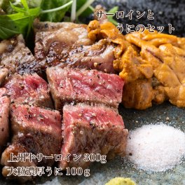 送料無料 熟成上州牛サーロイン300gと大粒濃厚うに100gのセット サーロインステーキ ウニ お肉 にく ステーキ 和牛 牛肉 国産牛 国産牛ステーキ 熟成 肉 熟成牛 海鮮 生雲丹 生うに 美味しい おいしいもの お取り寄せ グルメ お祝い 内祝い 肉 ギフト プレゼント