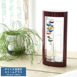 ガリレオ温度計＆ストームグラス 12.5cm×28cm オブジェ モダン かっこいい男性 大人 知的/理系 好き/プレゼント ギフト/