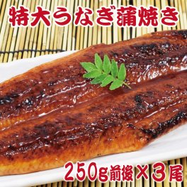 特大うなぎ蒲焼き3尾セット (1尾あたり250g前後) 訳あり 特製たれ & 山椒付